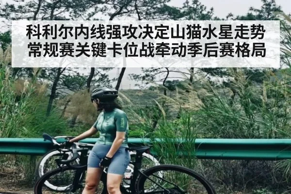 科利尔内线强攻决定山猫水星走势 常规赛关键卡位战牵动季后赛格局